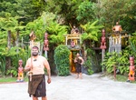Watch a Traditional Maori Culture Display