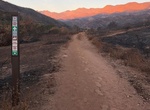 Hike Wills-Rice Loop at Ventura River Preserve, Ojai, California