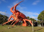 See Big Lobster in Kingston SE, South Australia