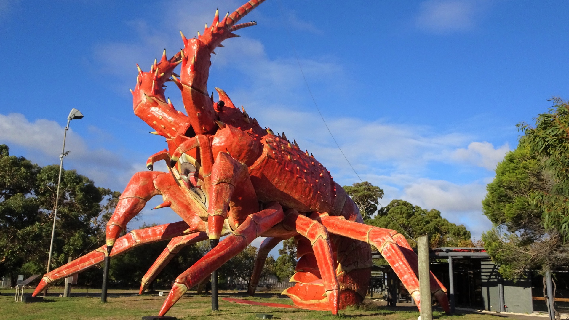 Big Lobster in Kingston SE Big Lobster in Kingston SE