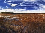 Birding at Blackwater National Wildlife Refuge, Maryland