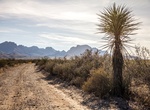 Drive Grapevine Hills Road, Big Bend National Park, Texas