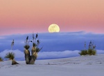 Go on Full Moon Guided Hike, White Sands National Monument, New Mexico