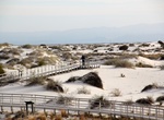 Hike Interdune Boardwalk, White Sands National Monument, New Mexico