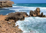 Explore Elliston Cliffs and Shoreline, Elliston, South Australia