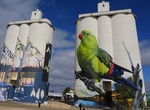 See Waikerie Silo Art, Waikerie, South Australia