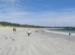 Visit Elliston Beach, Elliston, South Australia