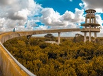 Visit Shark Valley Observatory Tower, Everglades National Park, Florida