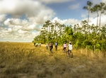 Hike or Mountain Bike Long Pine Key Nature Trail, Everglades National Park, Florida