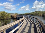 Hike Anhinga Trail, Everglades National Park, Florida