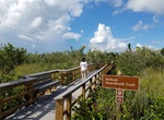 Hike Bobcat Boardwalk Trail, Everglades National Park, Florida