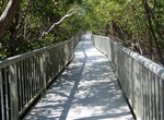Explore Mangrove Park, Boynton Beach, Florida