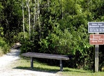 Hike Otter Cave Hammock Trail, Everglades National Park, Florida