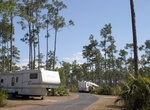 Camp at Long Pine Key Campground, Everglades National Park, Florida