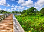 Explore Wakodahatchee Wetlands, Delray Beach, Florida