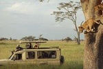 Excellent Safari and Luxurious Safari Tanzania