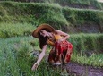 Bali Full Day Tour: Highlights of Ubud and Hidden Waterfall