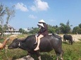 Discovering Hoi An Countryside Local style From Hoi an