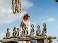 Galle Day Tour From Colombo (All Inclusive)
