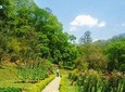 Godavari Village Day Tour