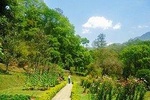Godavari Village Day Tour