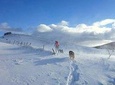 Snowshoeing at Olympic Mountains – Full Day Tour from Sarajevo