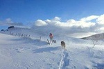 Snowshoeing at Olympic Mountains – Full Day Tour from Sarajevo