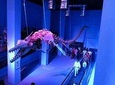 Hurghada Grand Aquarium Entry Ticket and Tour
