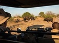  3 Night & 4 Day Private Kruger Park Safari