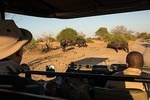  3 Night & 4 Day Private Kruger Park Safari