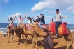 Shared Group: Full day trip to Chefchaouen and Tangier