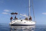 Half day sailing trips