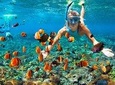 Sharm el-Sheikh: Snorkel & Camel Safari at Blue Hole