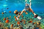 Sharm el-Sheikh: Snorkel & Camel Safari at Blue Hole