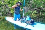 Mangrove SUP Safari
