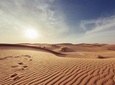 Desert Safari Overnight Package