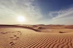 Desert Safari Overnight Package