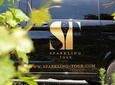 Private Full Day Tour - Small Champagne Producers / Growers from Reims