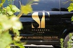 Private Full Day Tour - Small Champagne Producers / Growers from Reims