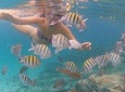  Vi Top Taxi &Tours USVI-Coki Beach Snorkeling Tour 