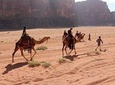 Full Day Private tour at Wadi Rum with Dinner