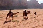 Full Day Private tour at Wadi Rum with Dinner