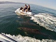 Jet Ski Safari in Puerto Vallarta