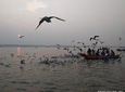 Complete Varanasi Tours