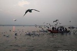 Complete Varanasi Tours