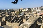 Herculaneum-Wine tasting tour with licensed guide included
