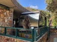 Cape of Good Hope-Wine Tasting-Penguin & Table Mountain Tickets Small Group Tour
