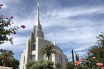 Rome: 3-hours visit of Rome Italy Temple (private cab)