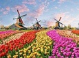 Private Day Trip to Zaanse Schans, Volendam & Marken from Amsterdam