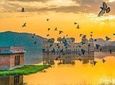 All Inclusive : 5 Days Golden Triangle Tour : Delhi, Agra, Jaipur